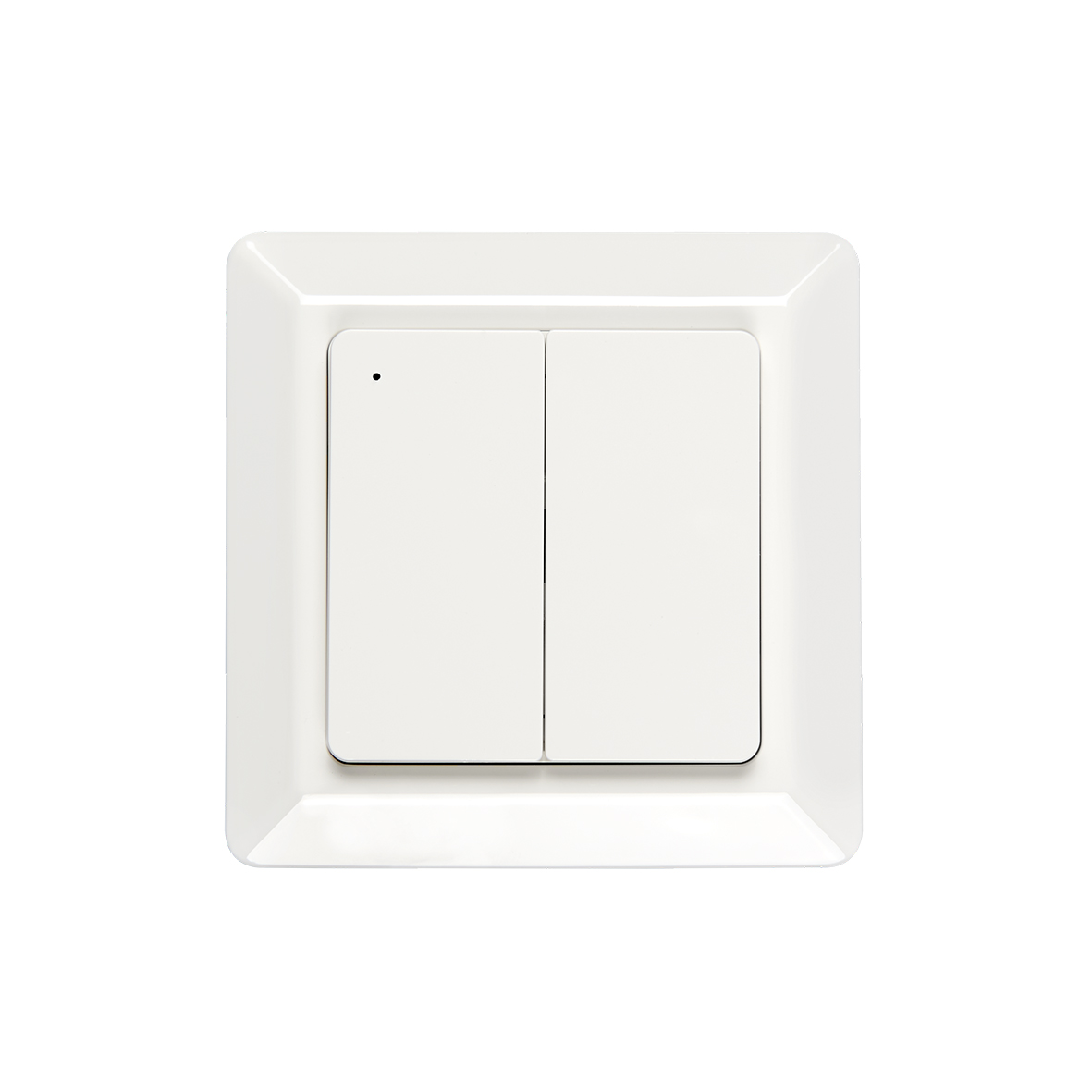 9109011016_Aufputztaster 2-fach BT_Vorderseite